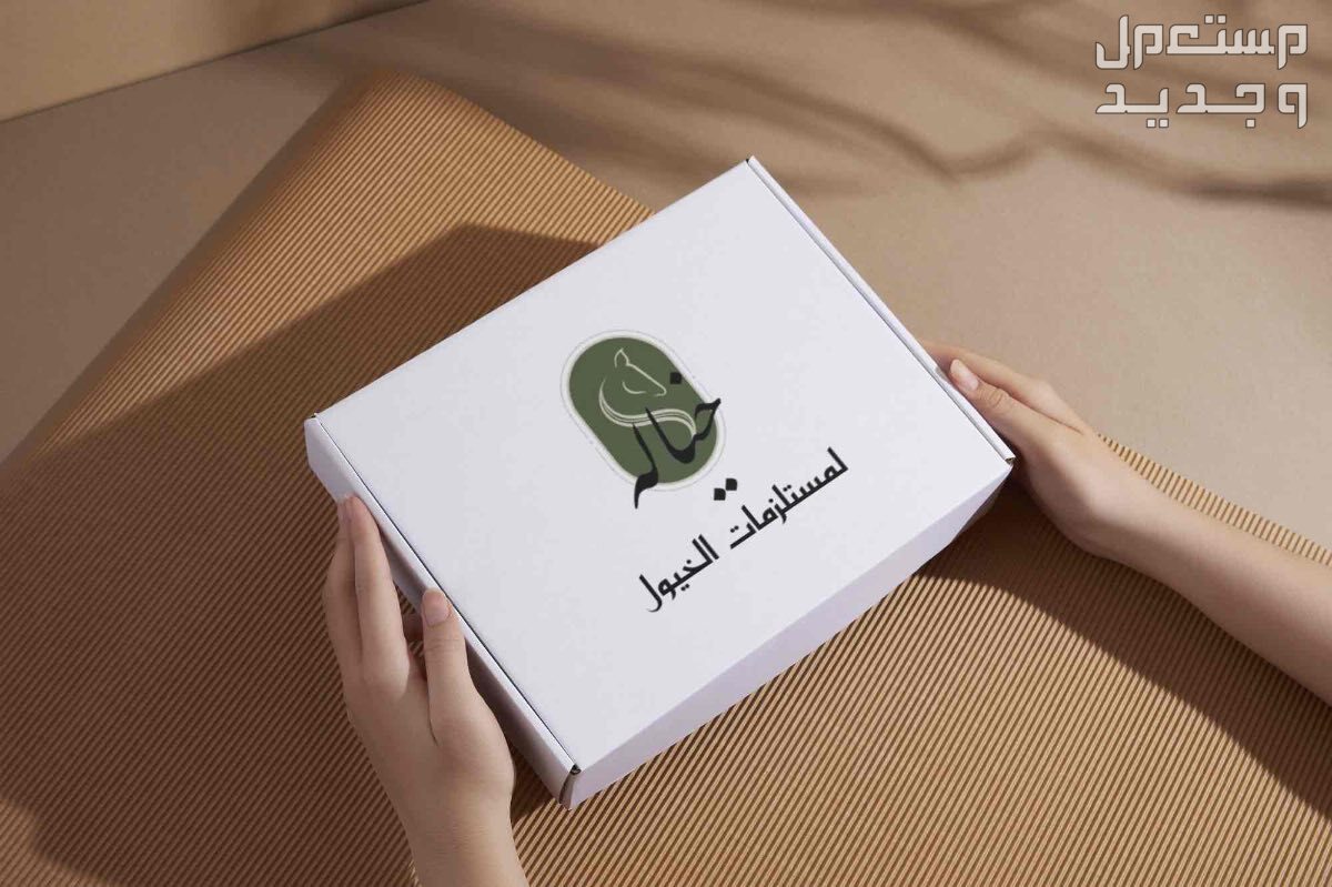 تصميم لوقو واشياء اخرى