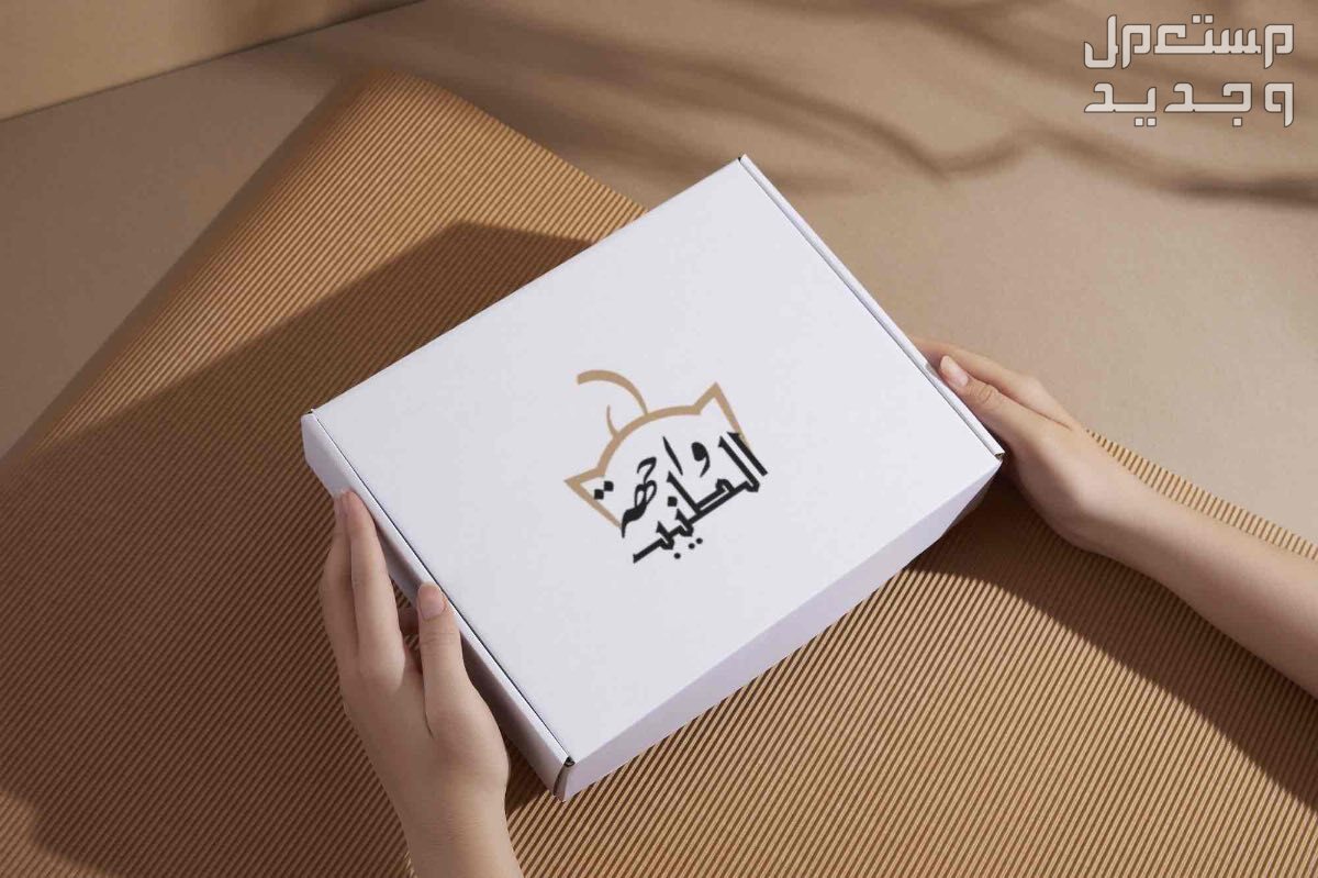 تصميم لوقو واشياء اخرى