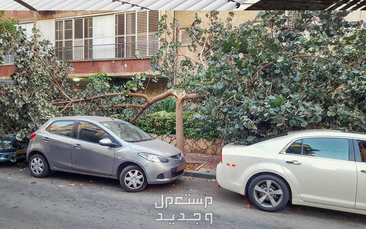 7 إجراءات قبل ركن السيارة لمدة طويلة ونصائح مهمة عند تشغيلها