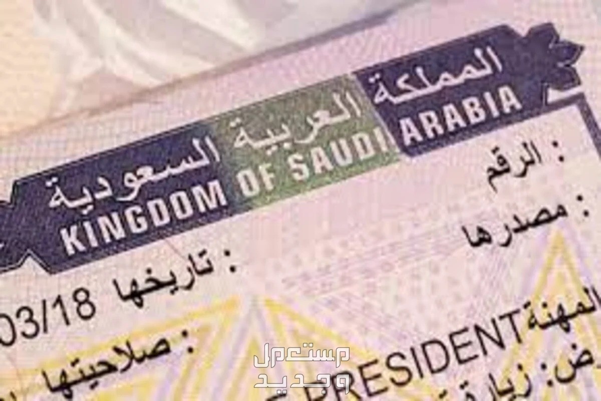 ما هي تأشيرة b2c ومميزاتها وأنواع تأشيرات العمرة وطريقة التقديم عليها تأشيرة العمرة في السعودية