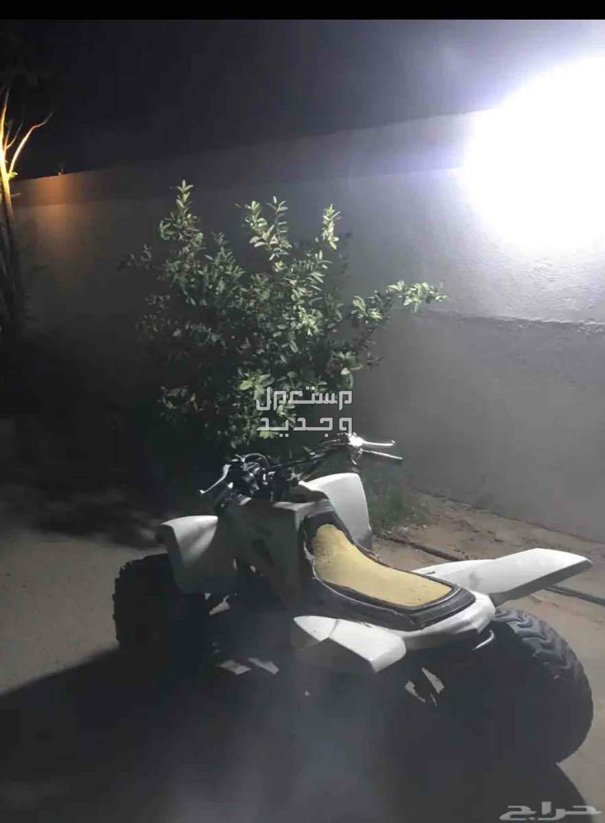 في نجران بسعر 11 ريال سعودي