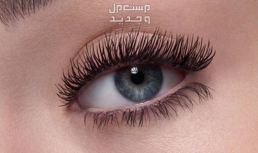 أفضل أنواع الماسكرا ضد الماء 2024 وكيفية اختيارها ماسكارا للعيون