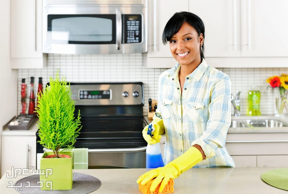 10 طرق لتنظيف اجهزة المطبخ بكل سهولة في السعودية طرق تنظيف اجهزة المطبخ