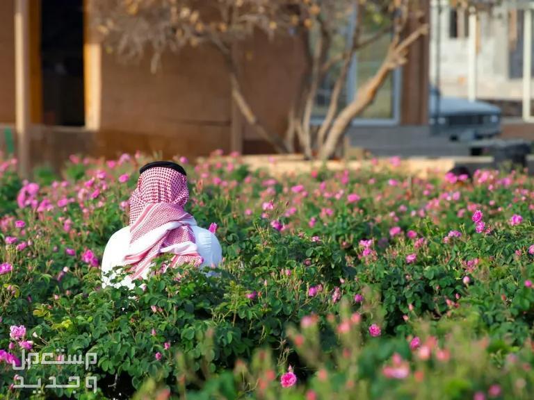 ما هي شروط الدعم الريفي 1446 رجل سعودي وسط حقل ورد