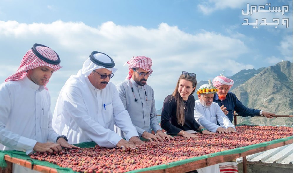 ما هي شروط الدعم الريفي 1446 في لبنان سعوديون يتفقدون محصول القهوة