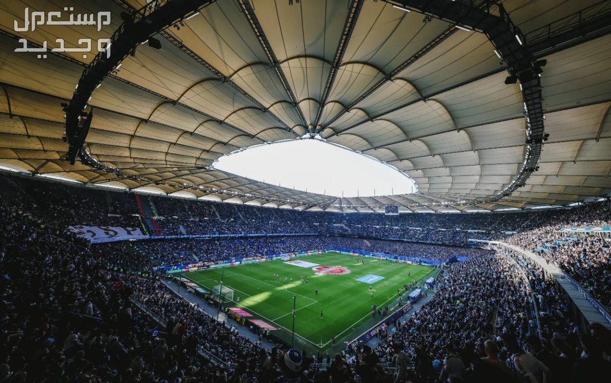 كم يحصل الفائز باليورو 2024 ملاعب اليورو 2024