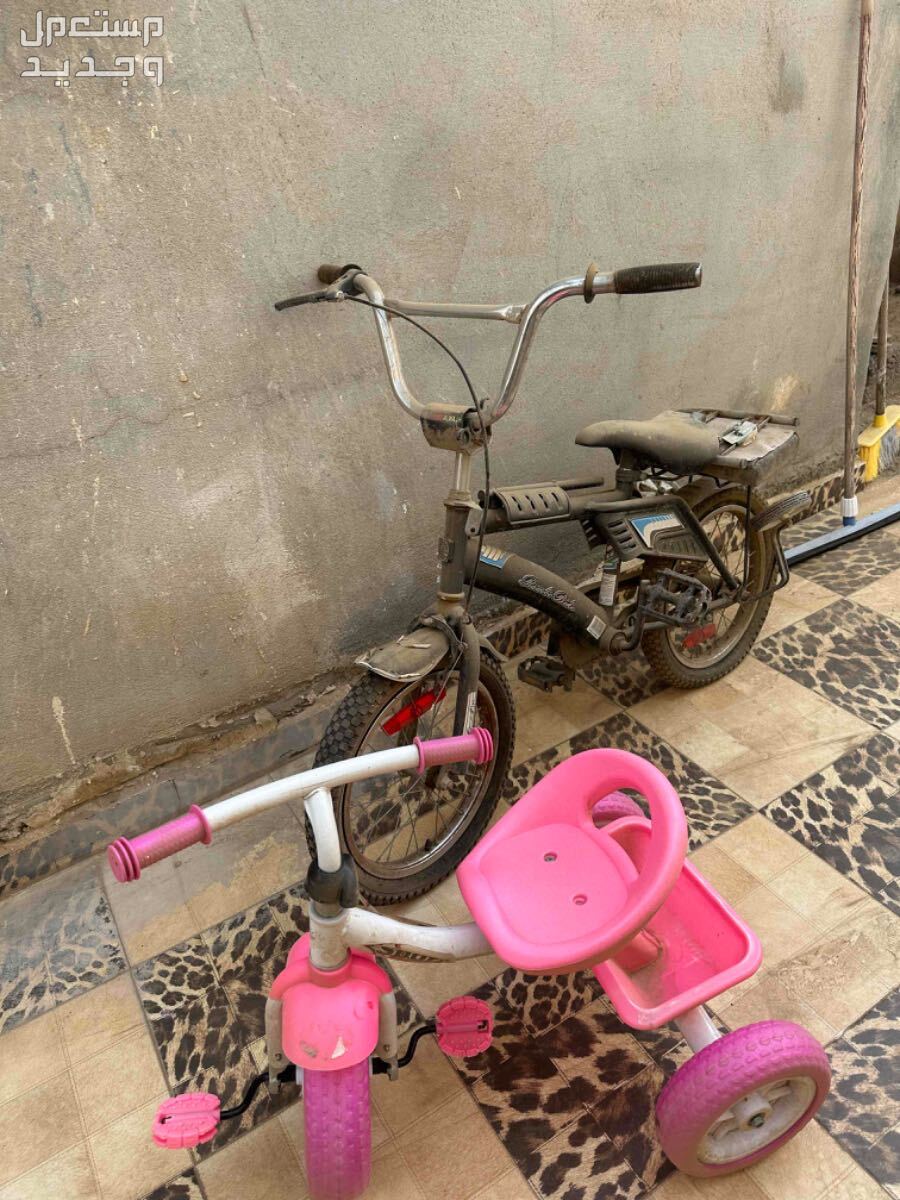 في صبياء بسعر 70 ريال سعودي