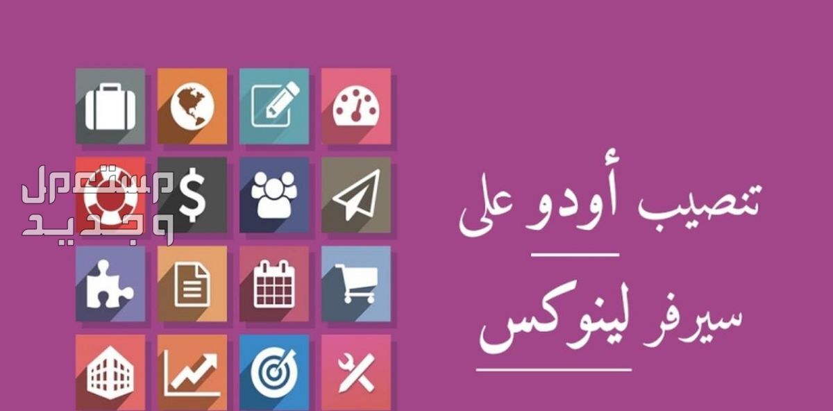 تنصيب واعداد أودو على الخادم الشخصي (لينوكس فقط)