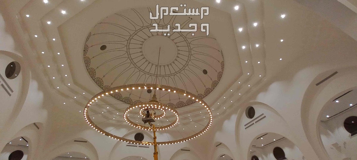 الرياض