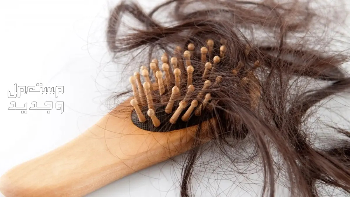 ما هو الفرق بين تساقط الشعر الطبيعي والغير طبيعي؟ في عمان كمية الشعر المتساقط الطبيعية بالصور