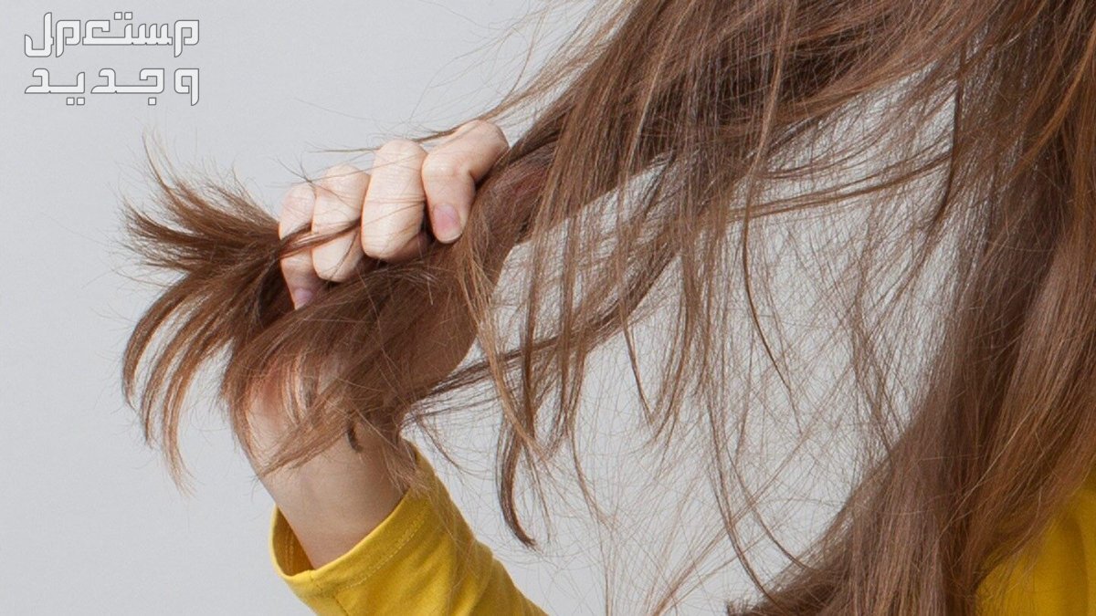 ما هو الفرق بين تساقط الشعر الطبيعي والغير طبيعي؟ في السودان معدل تساقط الشعر الطبيعي للنساء