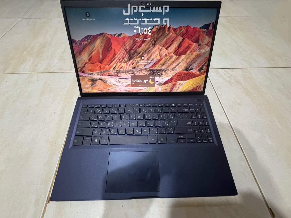 ASUS expert book L1500