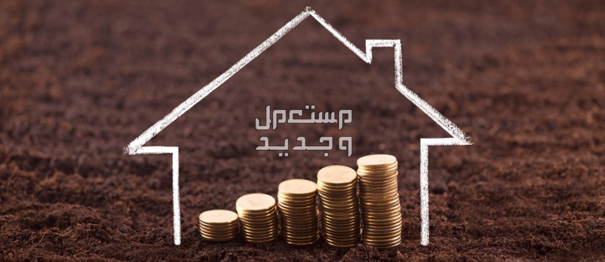 نصائح عند شراء منزل بغرض السكن أو الاستثمار نصائح عند شراء منزل