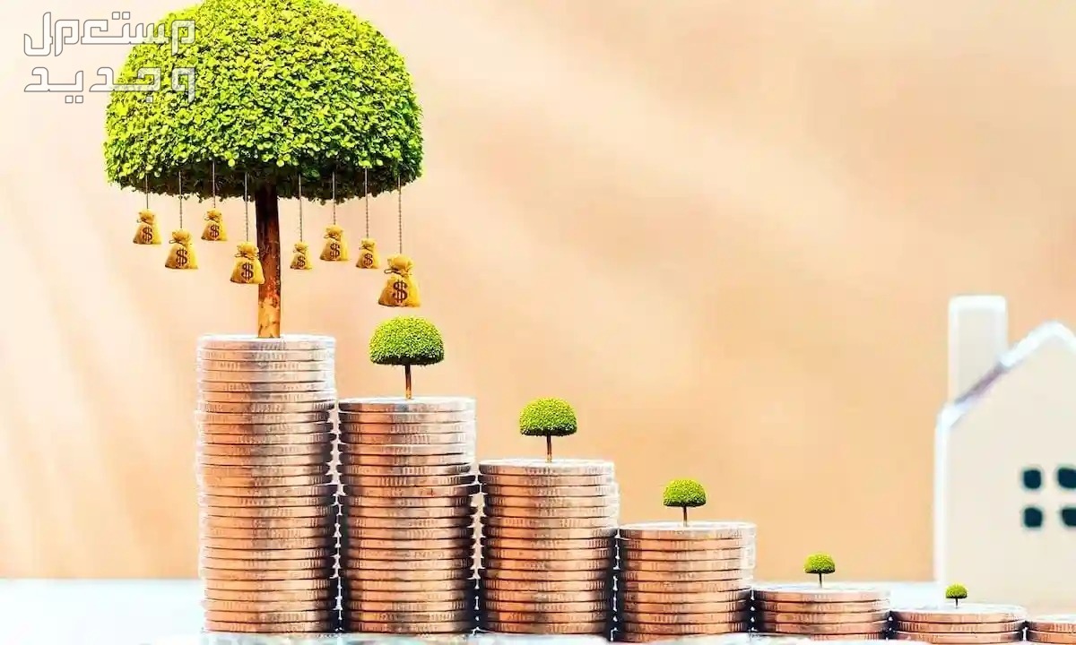 نصائح عند شراء منزل بغرض السكن أو الاستثمار نصائح عند شراء منزل بغرض السكن أو الاستثمار