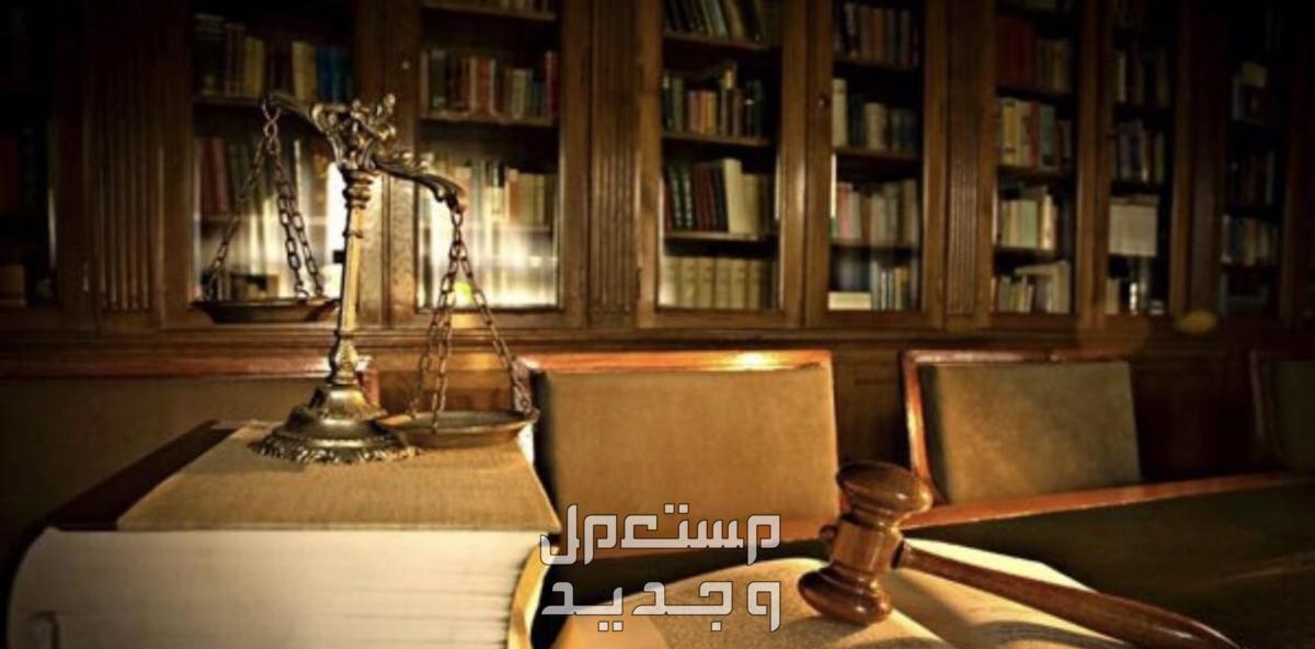 كتابة أبحاث فى مجال القانون والاقتصادية