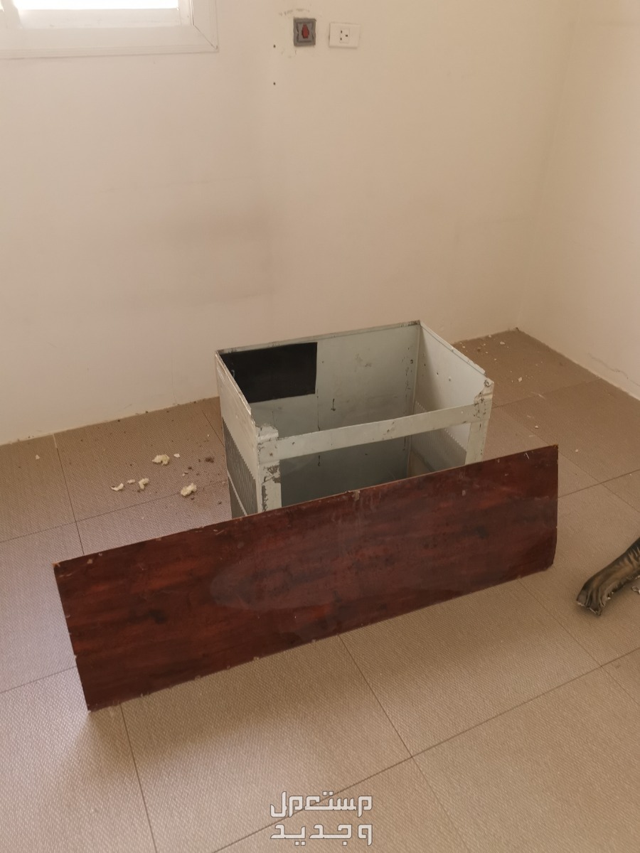 تبوك حي المروج