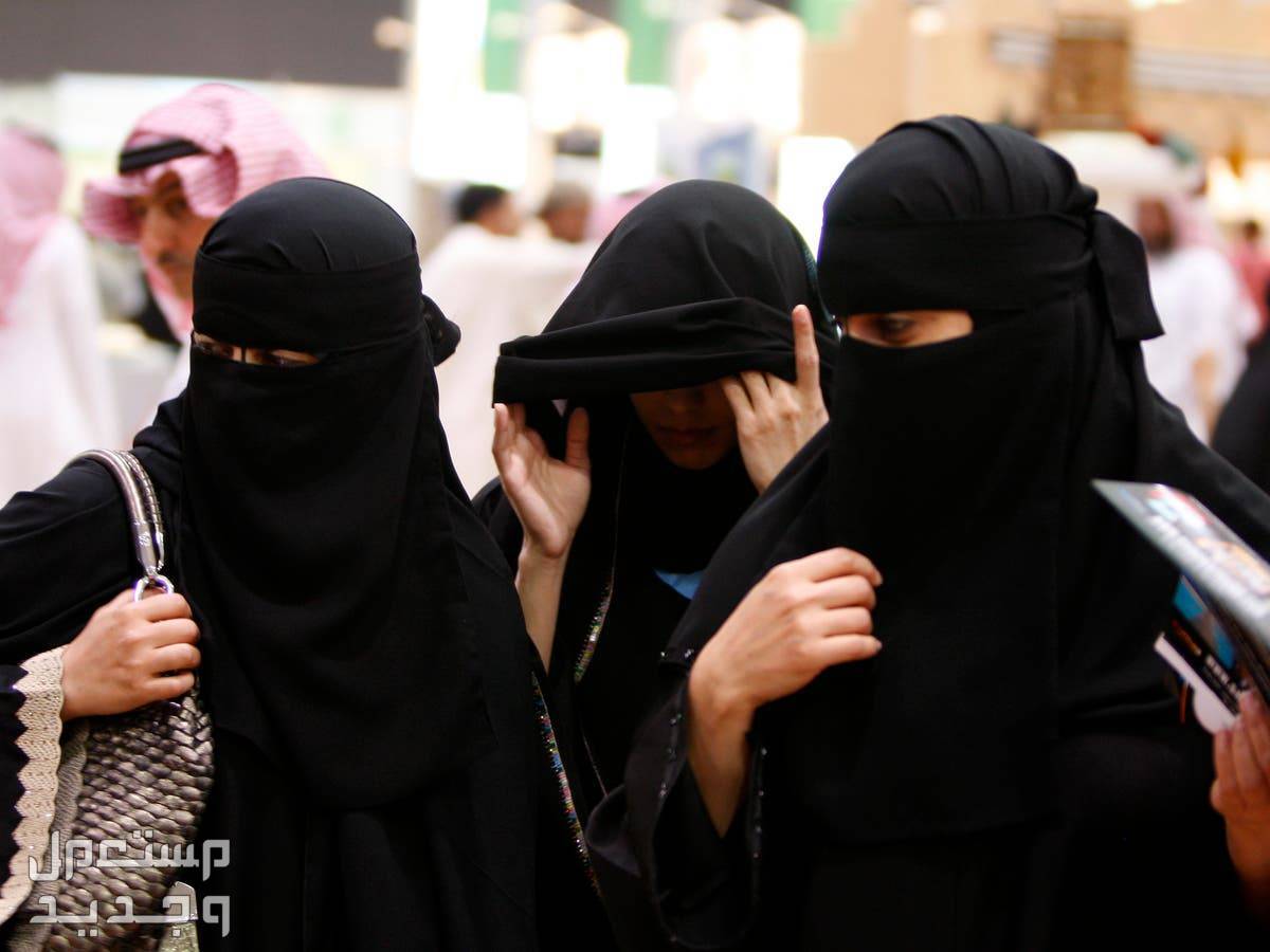 كيفية التسجيل في الجامعات الحكومية 1446 طالبات الجامعات الحكومية السعودية