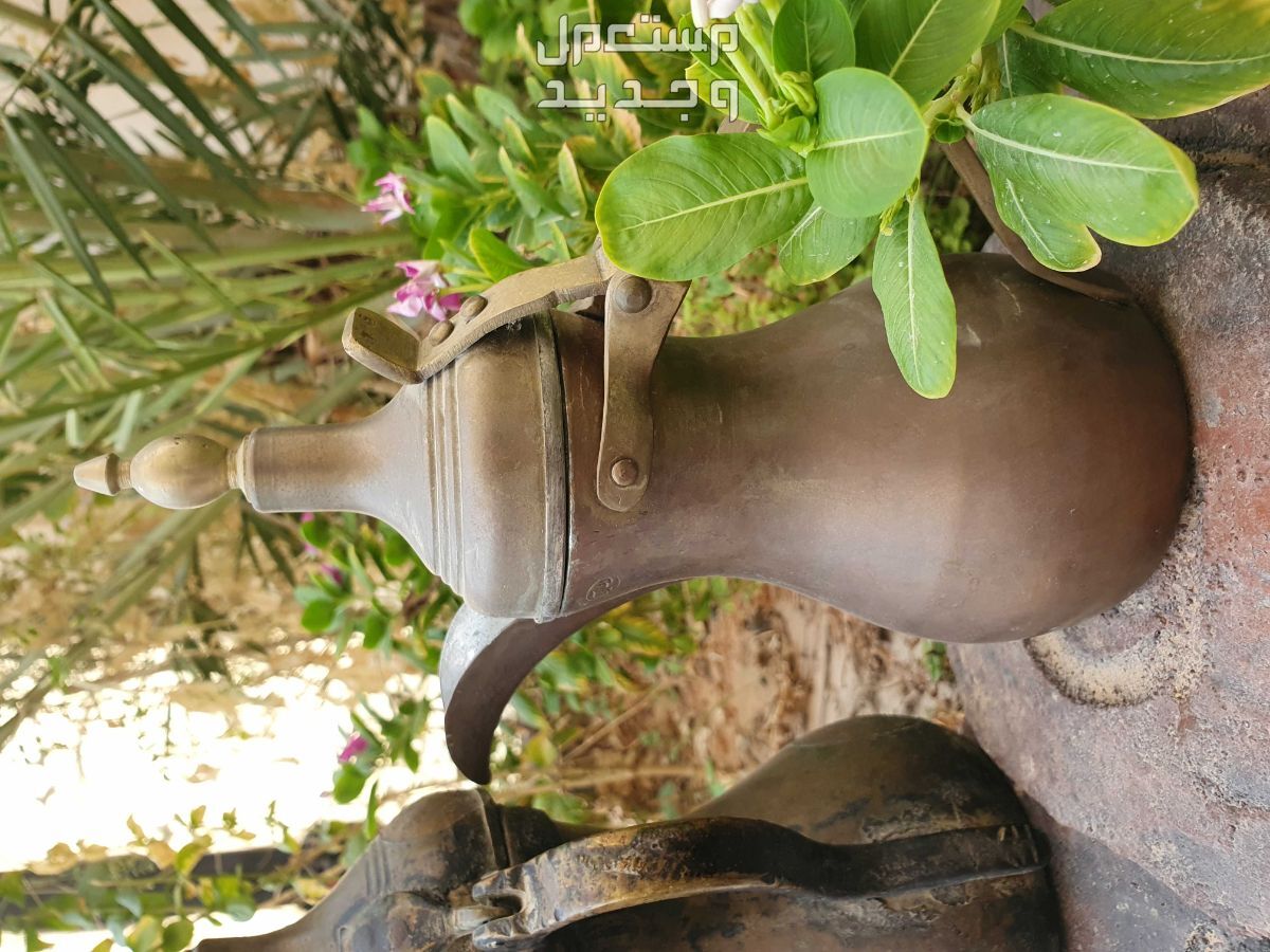 نوادر و اثريات  في الرياض