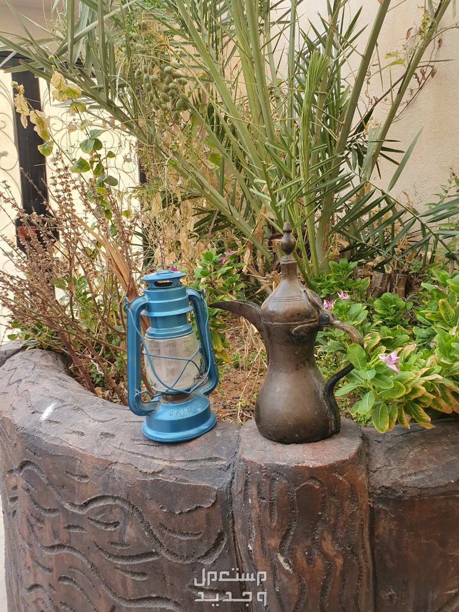 نوادر و اثريات  في الرياض