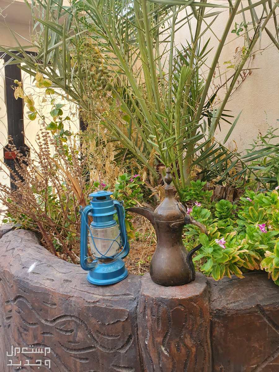 نوادر و اثريات  في الرياض