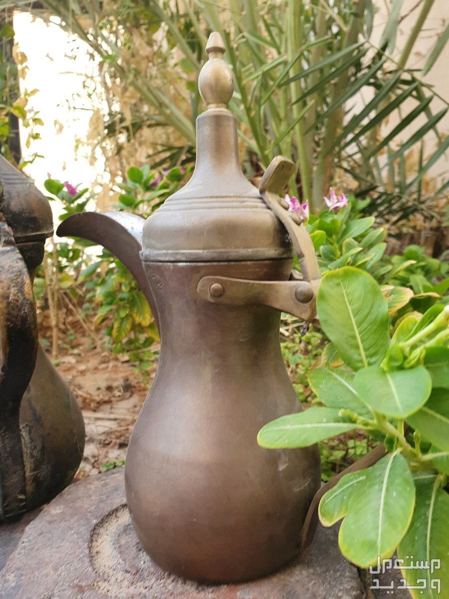 نوادر و اثريات  في الرياض