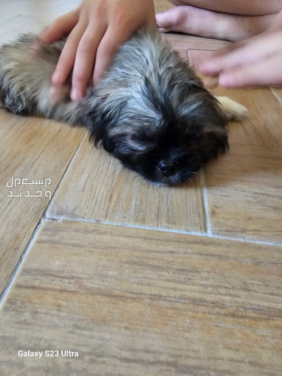 شارع المدينه المنوره خلف مطعم ورد