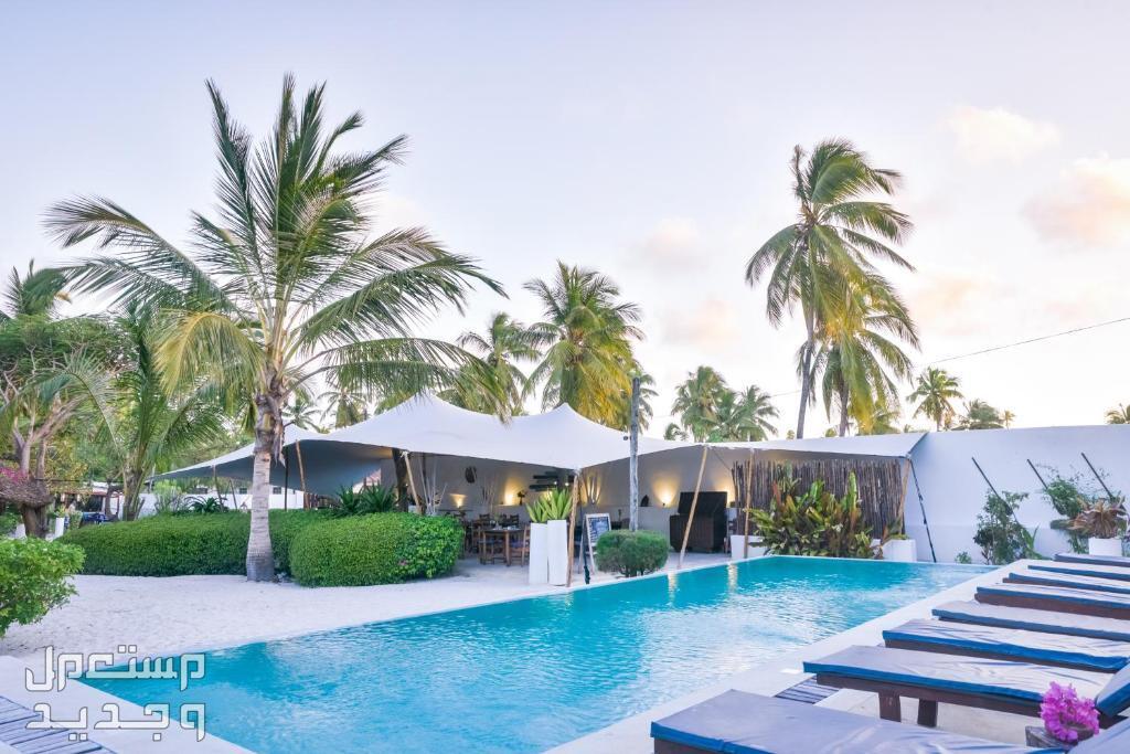 افضل المنتجعات السياحية في جدة 2024 لرحلة ممتعة Indigo Beach Resort