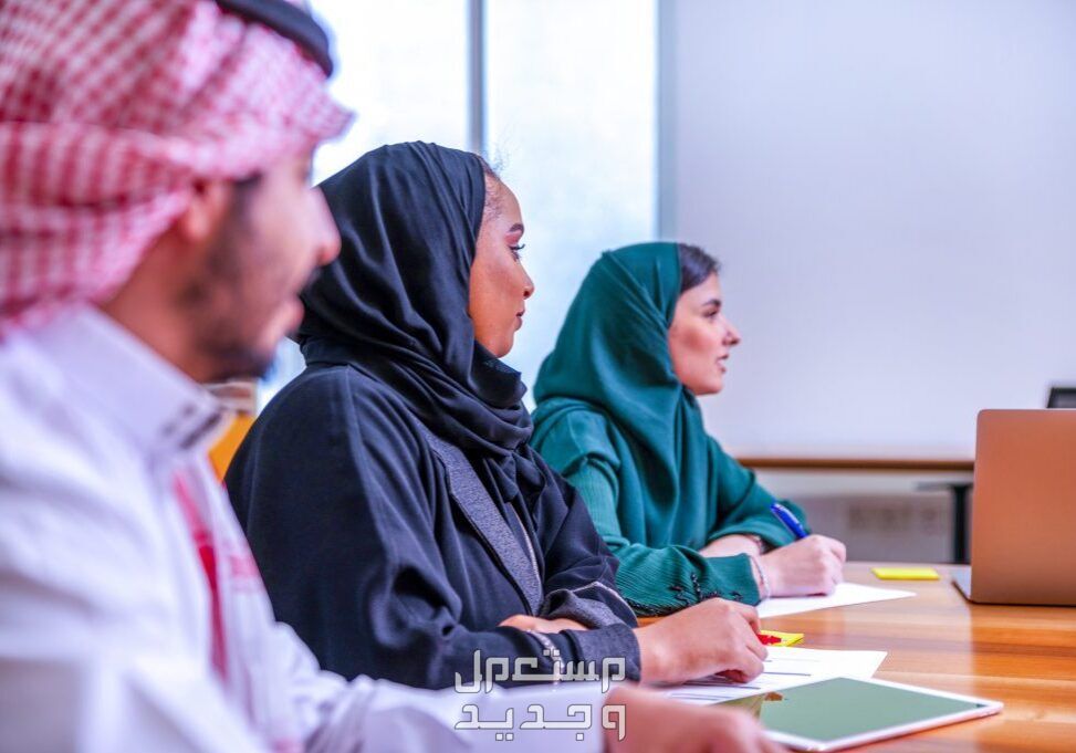 نظام التأمينات الاجتماعية الجديد والتقاعد المدني.. كل ما تريد معرفته عن قرار الوزراء نظام التقاعد المبكر الجديد