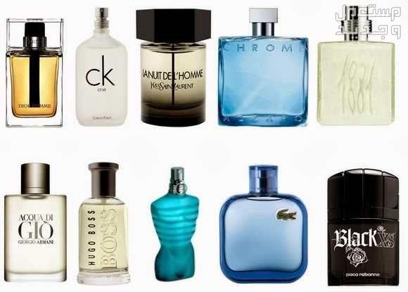 كيفية اختيار العطر المناسب للرجل اختيار عطر رجالي مناسب