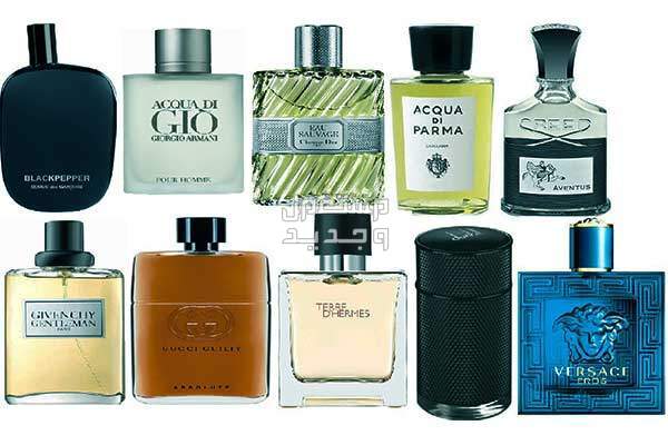 كيفية اختيار العطر المناسب للرجل عطور للرجال