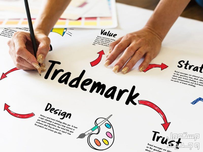 خطوات إطلاق علامة تجارية 1446 فتاة تخطط لإطلاق علامة تجارية 1446