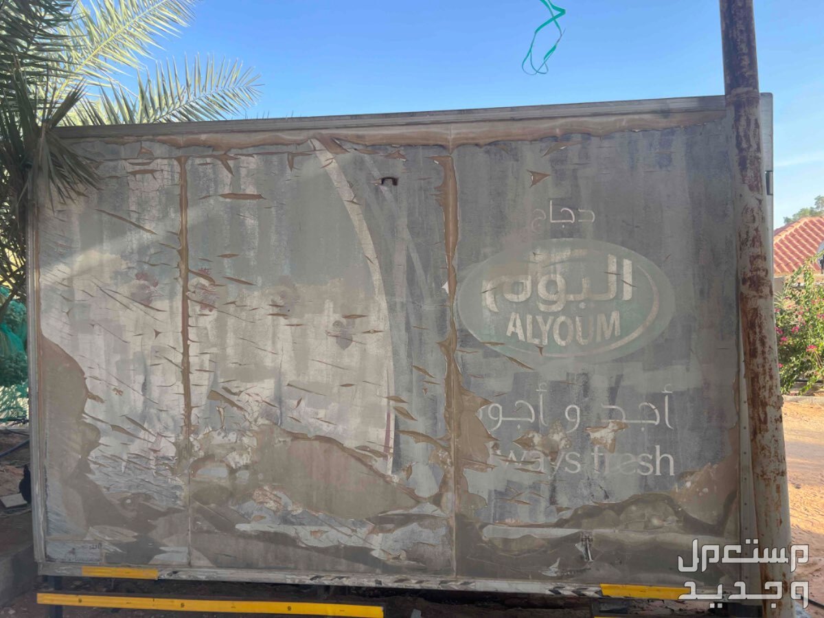 الرياض