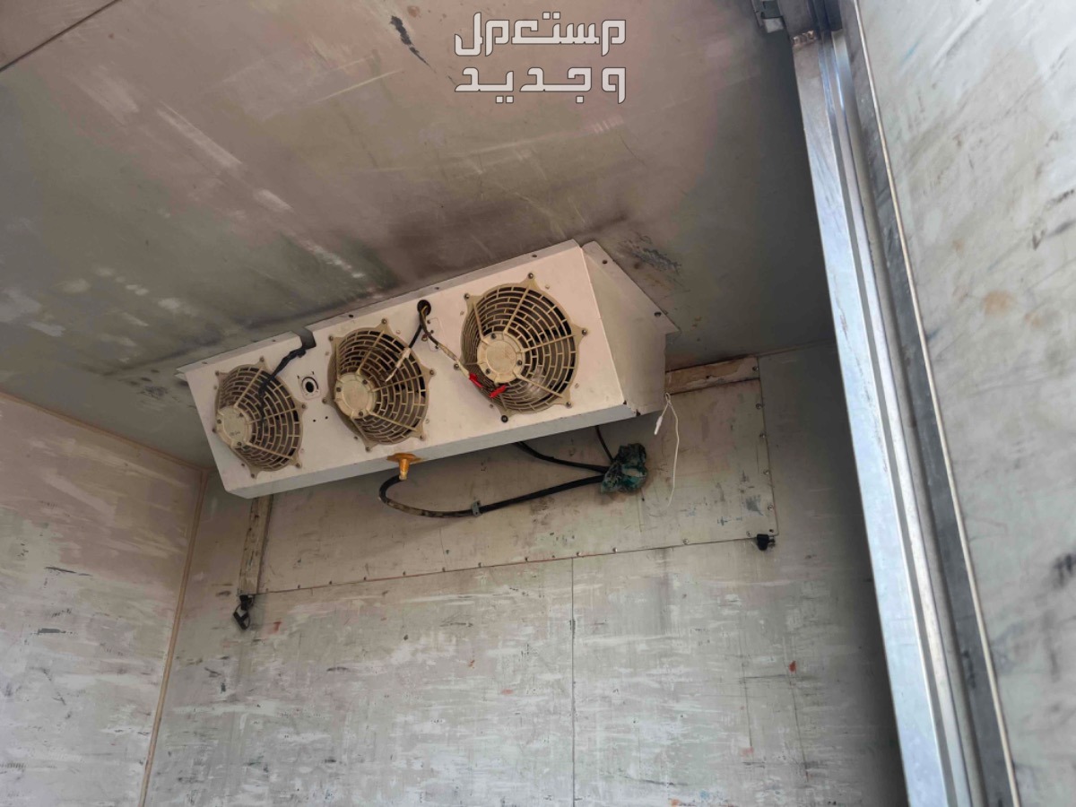 الرياض
