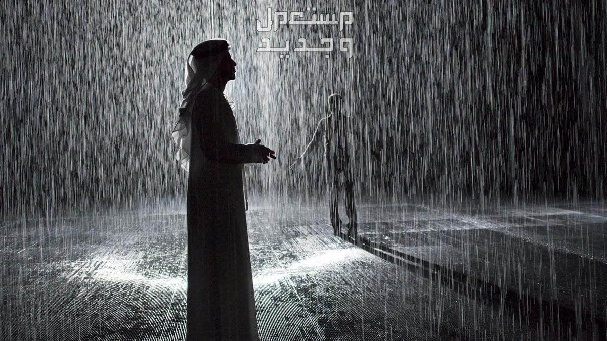 تفسير حلم نزول المطر للرجل والمرأة حلم نزول المطر