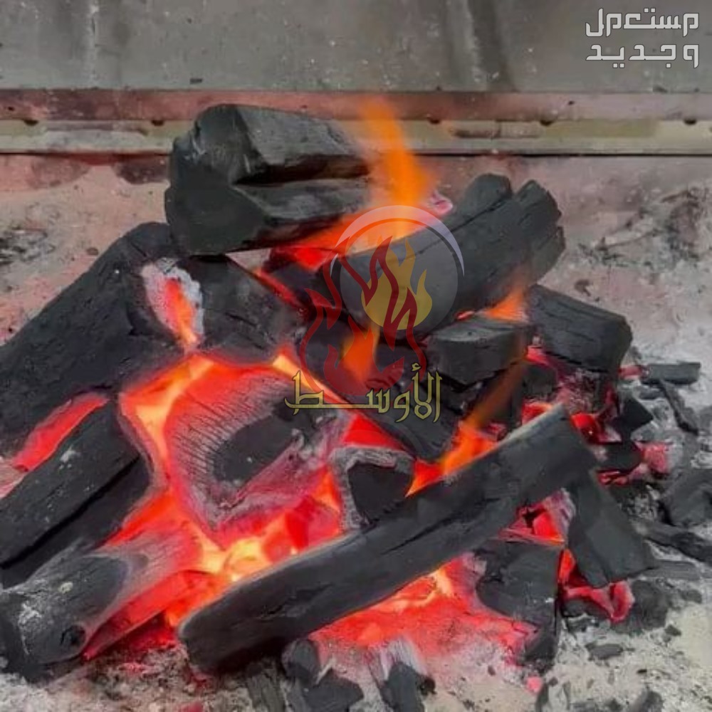 فحم شوي