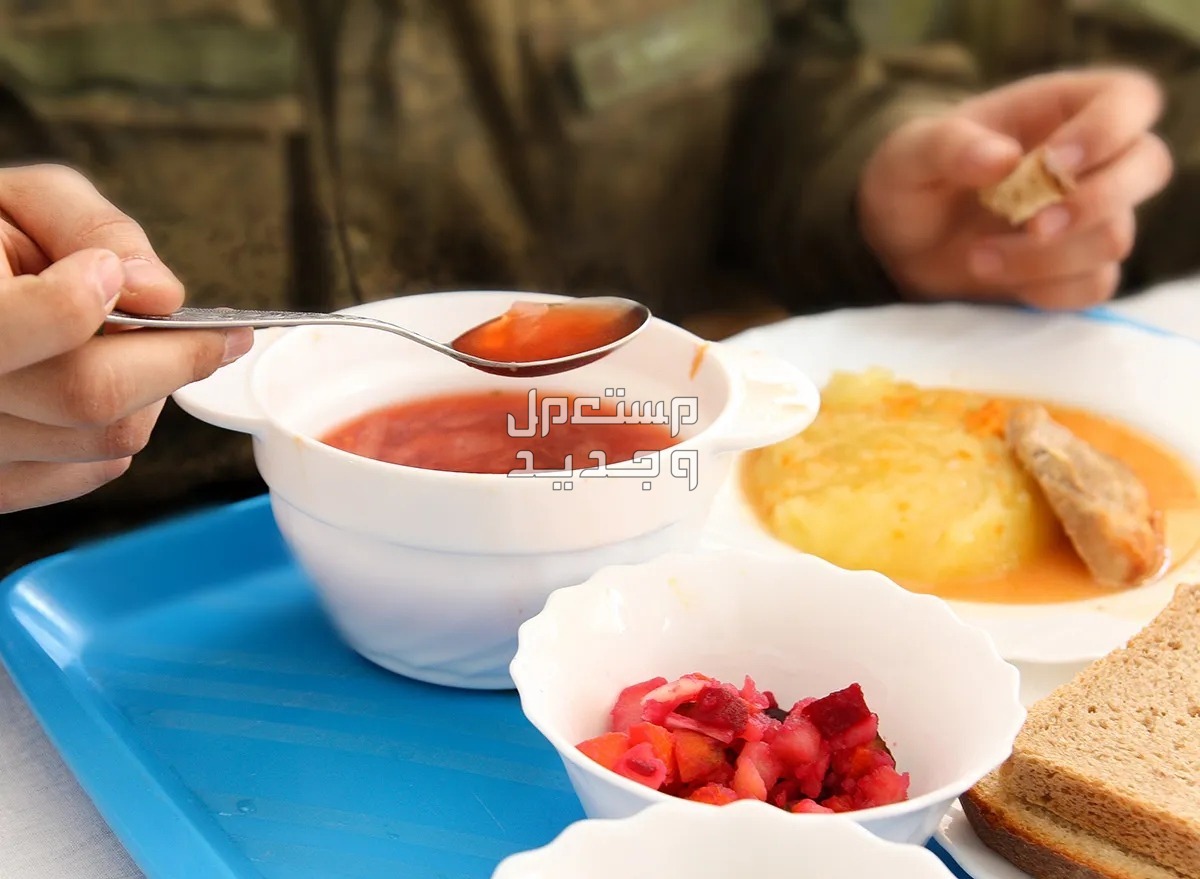 ما الرجيم العسكري.. كل ما تحتاج معرفته عنه وكيفية اتباعه الرجيم العسكري لخسارة الوزن