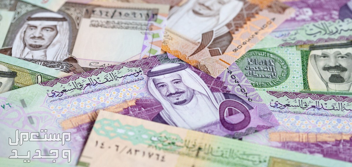 كيف أعرف إذا أستحق حساب المواطن 1446؟.. وخطوات تحديث البيانات التقديم على حساب المواطن 1446