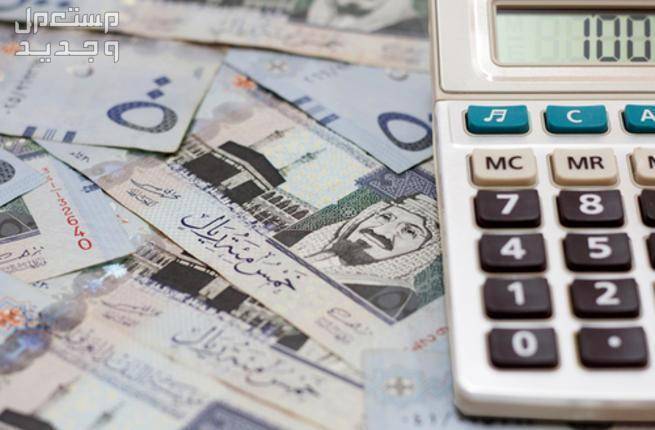 من هو الفرد المستقل في حساب المواطن 1446 وكم راتبه؟ أجر مستقل حساب المواطن