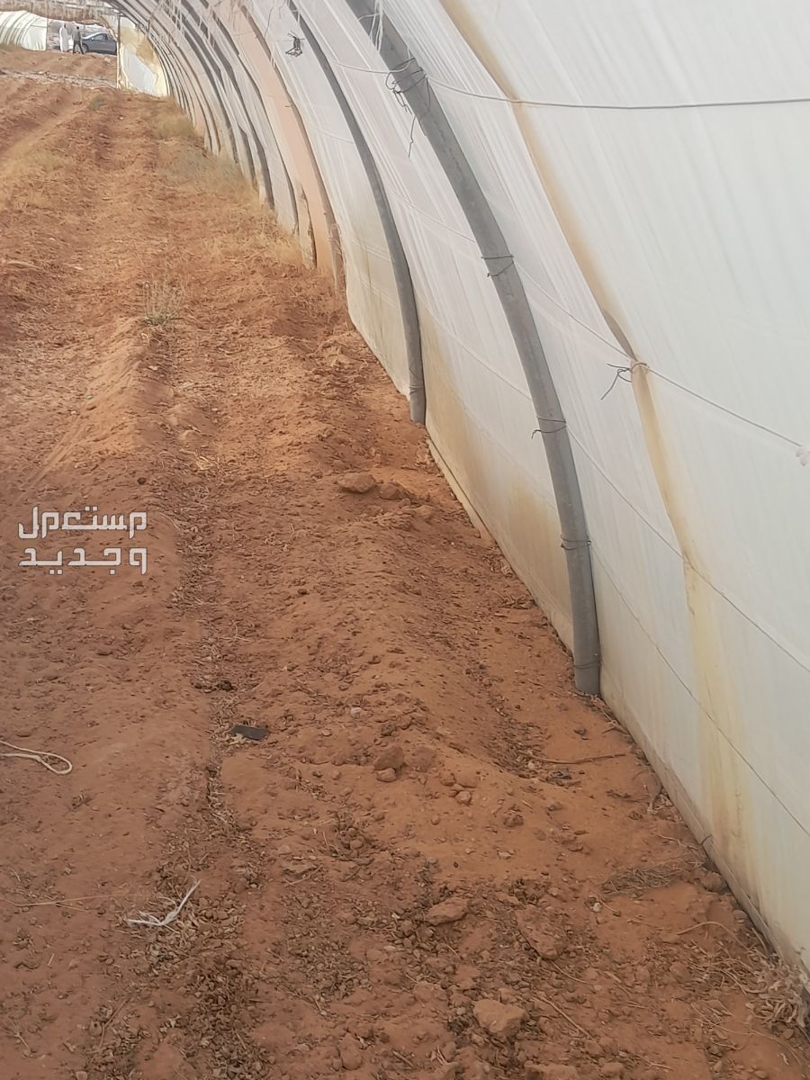 للبيع بيوت محميه