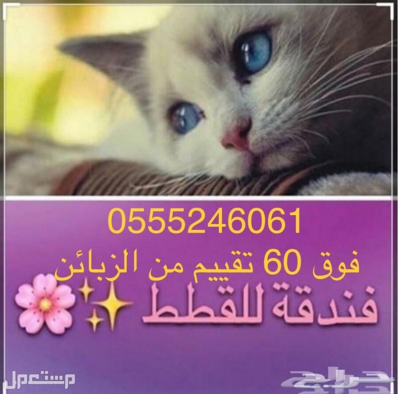 فندقة قطط وطيور والحيوانات الأليفة - بالرياض