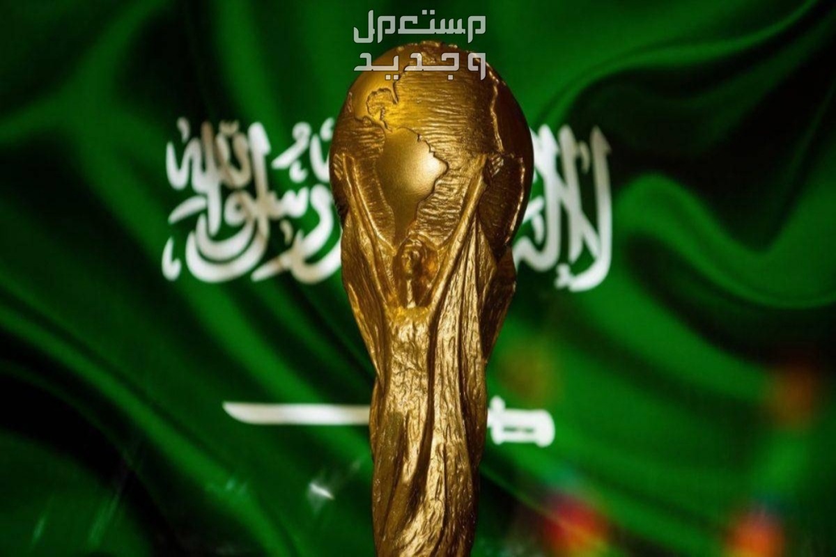 ملف السعودية لكأس العالم 2034 .. إليك التفاصيل ملف السعودية لكأس العالم 2034 .. إليك التفاصيل