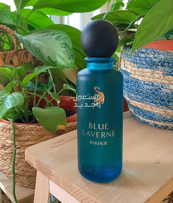 سعر عطر لافيرن الجديد ومواصفاته عطر لافيرن