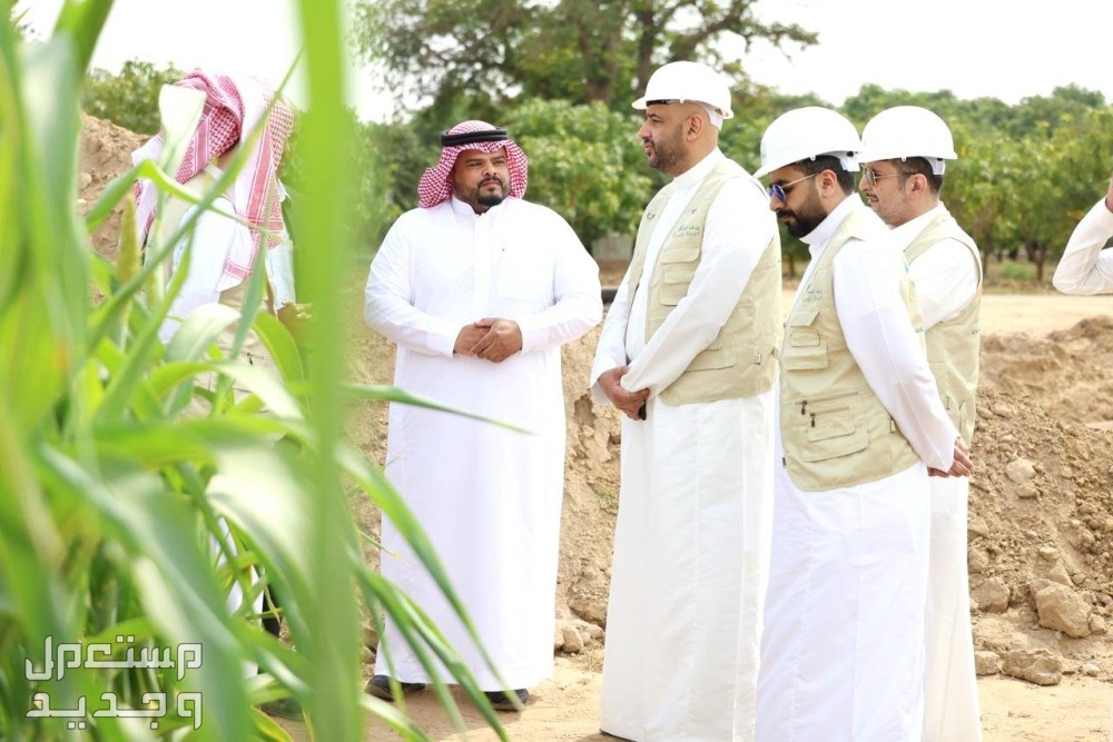 رابط التسجيل في دعم الريف 1446 التسجيل في دعم الريف 1446
