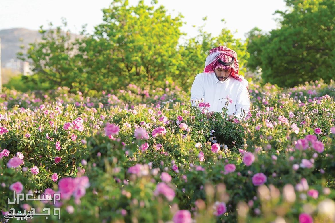 رابط التسجيل في دعم الريف 1446 التسجيل في دعم الريف 1446