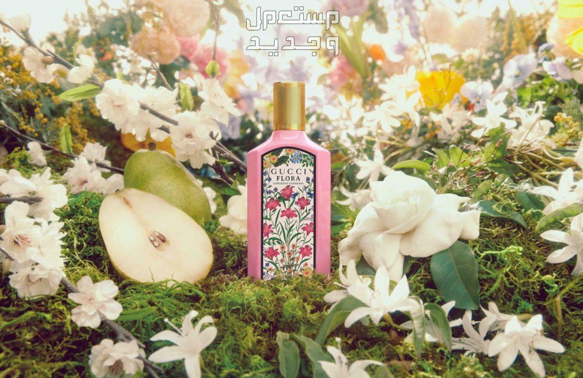 سعر عطر قوتشي فلورا الأصلي عطر قوتشي فلورا الأصلي