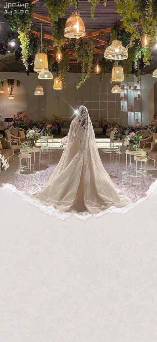 تصميم دعوات الكترونيه