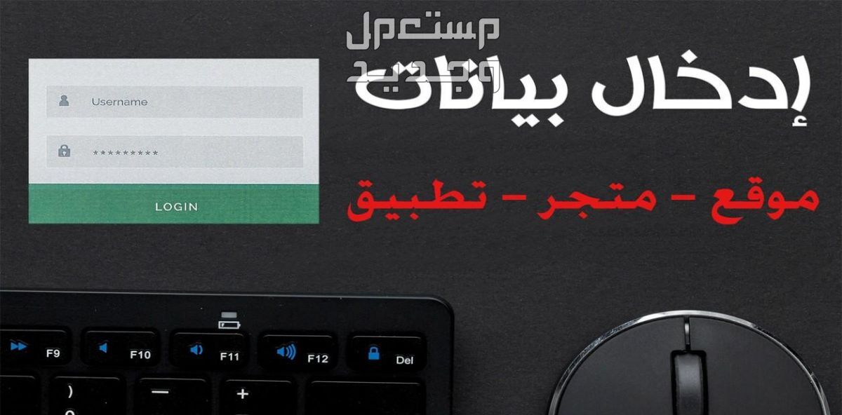 إدخال البيانات والمنتجات إلي التطبيقات والمواقع والمتاجر