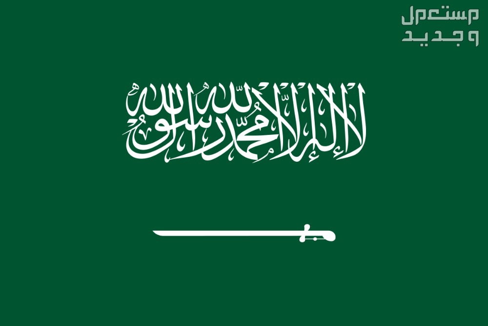 شروط الحصول على منحة أرض من الديوان الملكي 1446 الحصول على منحة أرض من الديوان الملكي