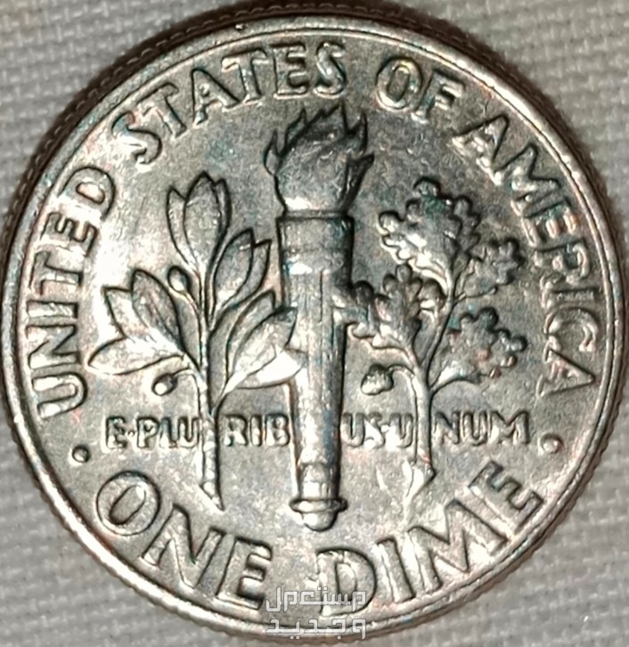 USA Rare coin 1980 D (Roosevelt Dime) error double die