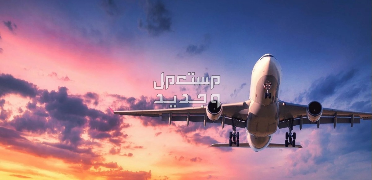 أرخص حجز طيران للرياض 2024 وكيفية الحصول على عروض رخيصة حجز طيران للرياض رخيص